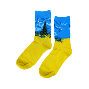 Teen & women's Starry Night Skies Socks