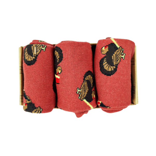 Men's Funky Turkey Socks