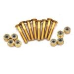 Golden Skateboard Hardware Set