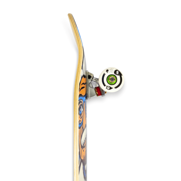Eccentric Explorer North East Maple Complete Skateboard