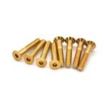 Golden Skateboard Hardware Set