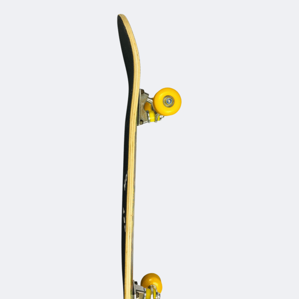 Chinese Maple Complete Skateboard – Rimable