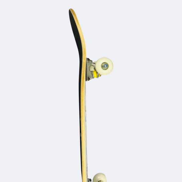 Chinese Maple Complete Skateboard – Ollie