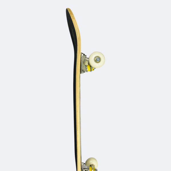 Chinese Maple Complete Skateboard – Venom Ritual